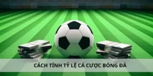 Tìm Hiểu Cá Cược Bóng Đá HB88: Hành Trình Đầy Hứng Khởi