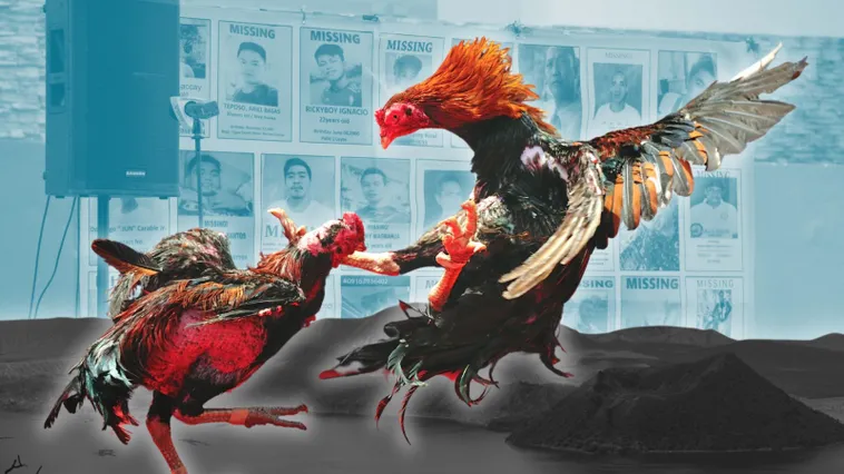 Bí Quyết Cách Chơi Đá Gà Sabong Tại HB88 Đỉnh Cao Cho Người Mới