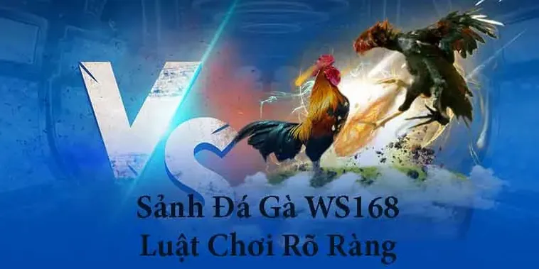 Cách Chơi Đá Gà WS168 Tại HB88 Kịch Tính Dành Cho Kê Thủ