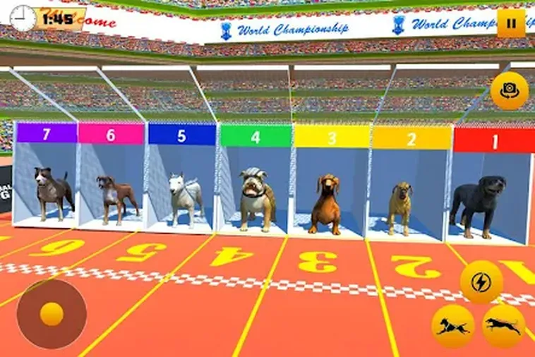 Cách Chơi Game Nhanh Đua Chó Tại HB88 Để Rinh Thưởng Khủng