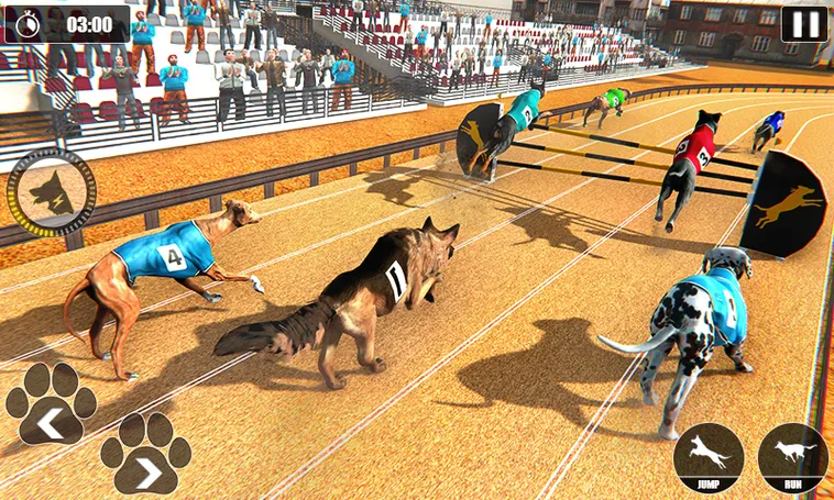 Cách Chơi Game Nhanh Đua Chó Tại HB88 Để Rinh Thưởng Khủng